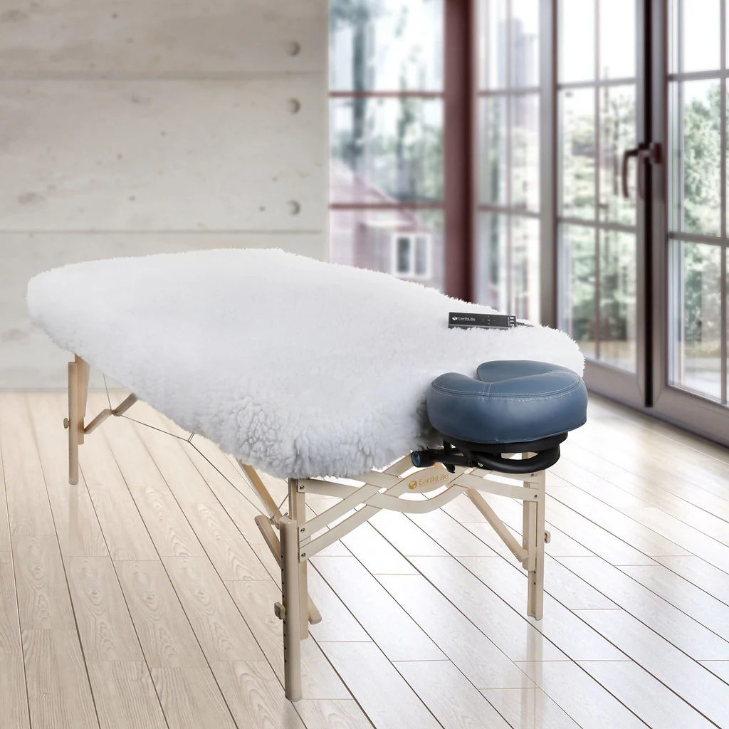 Earthlite DLX™ Digital Massage Table Warmer, 120v - Image 2