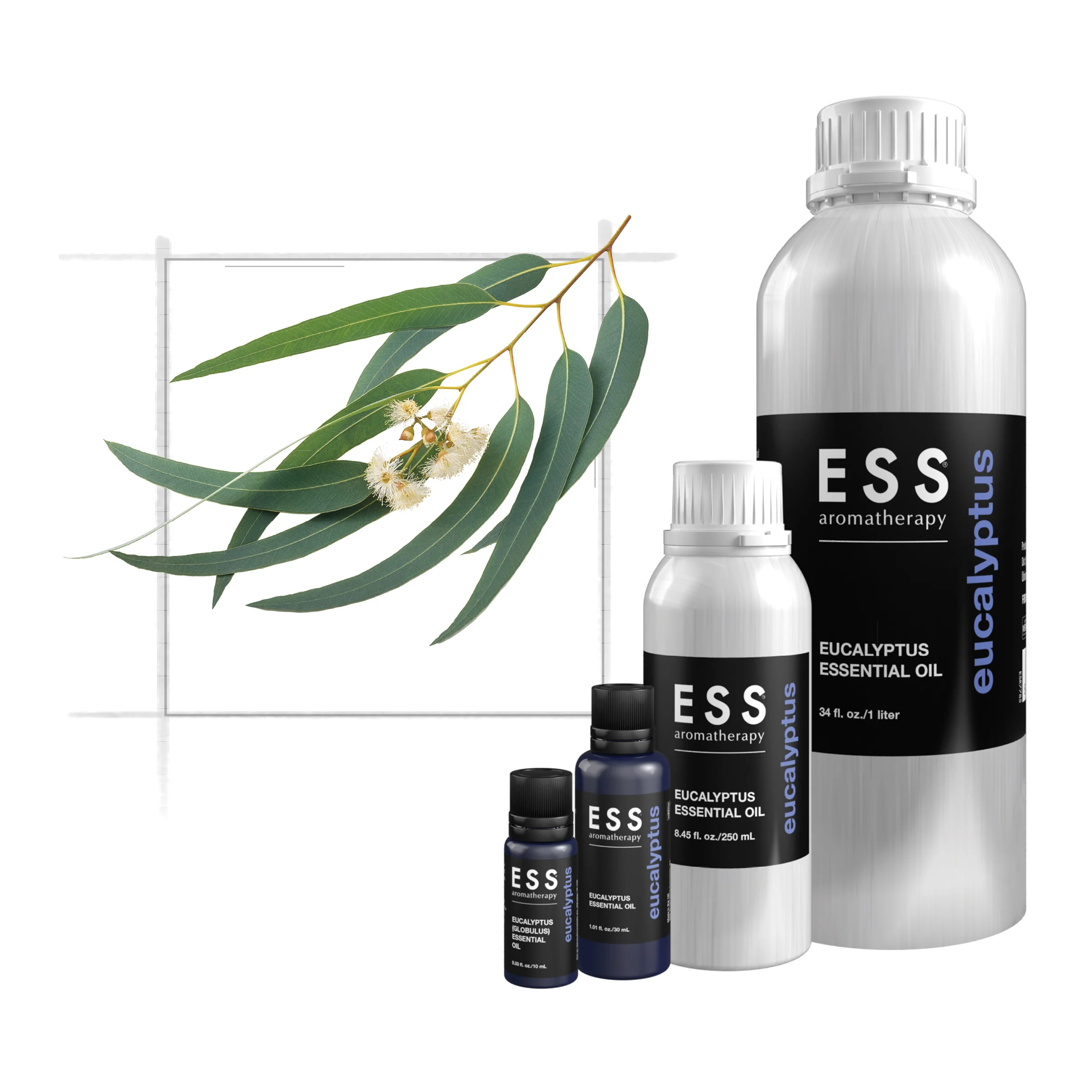 ESS Eucalyptus Globulus Essential Oil