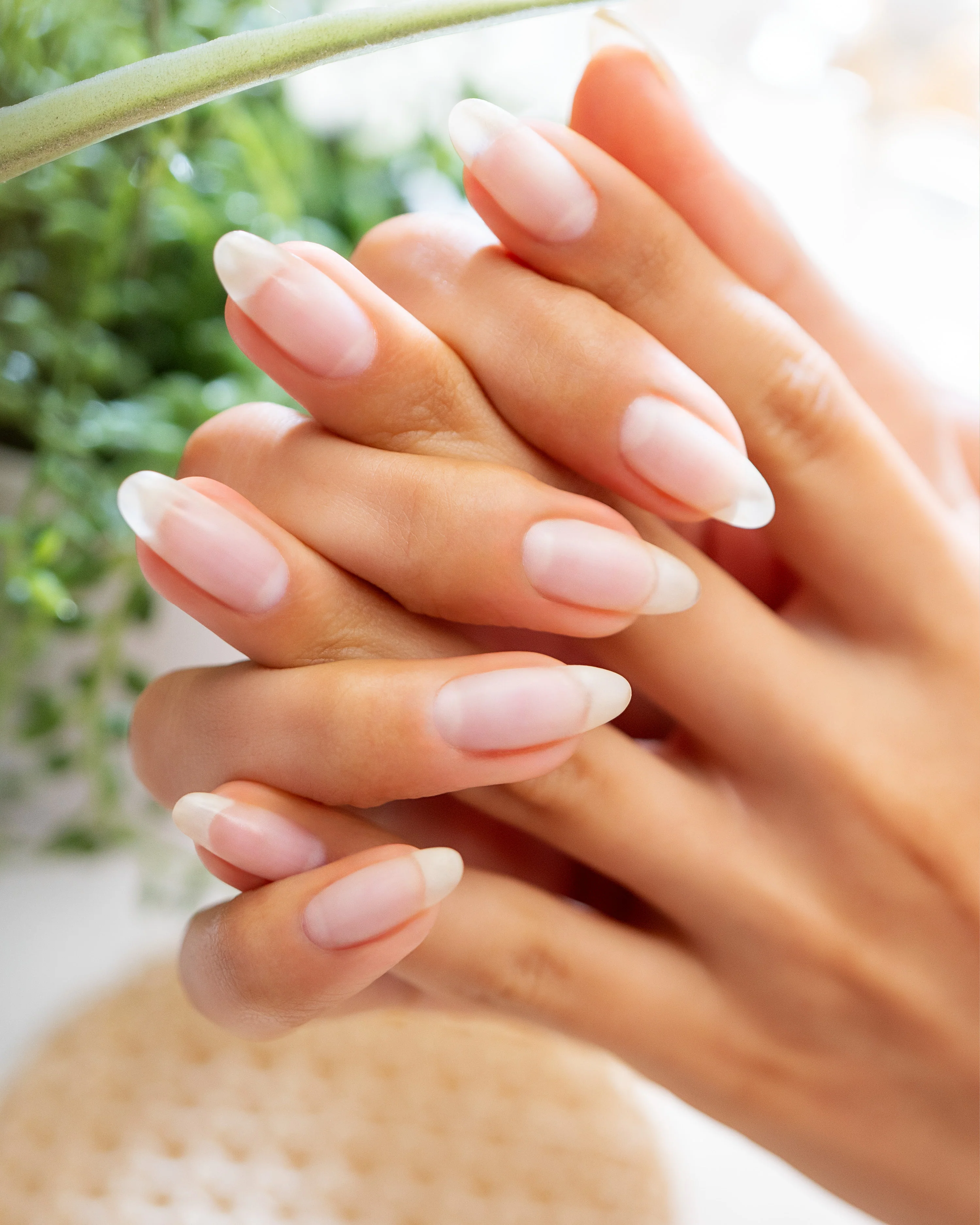 Gelish Nourish Cuticle Oil with Hyaluronic Acid, 0.5 fl oz - Image 3