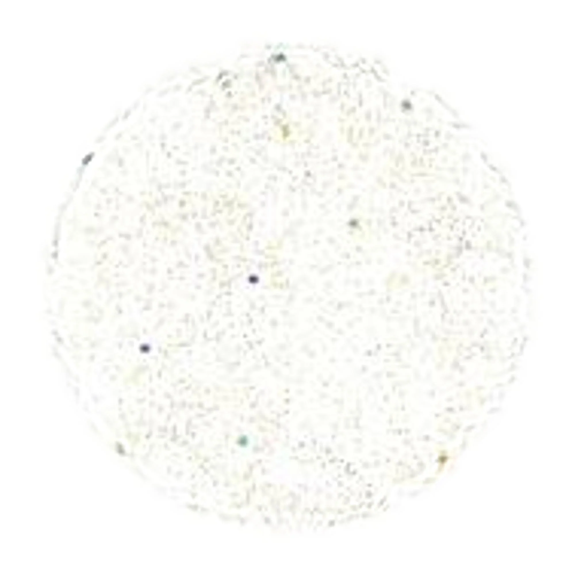 Gelish Xpress Dip Powder, Grand Jewels, 1.5 oz - Image 2