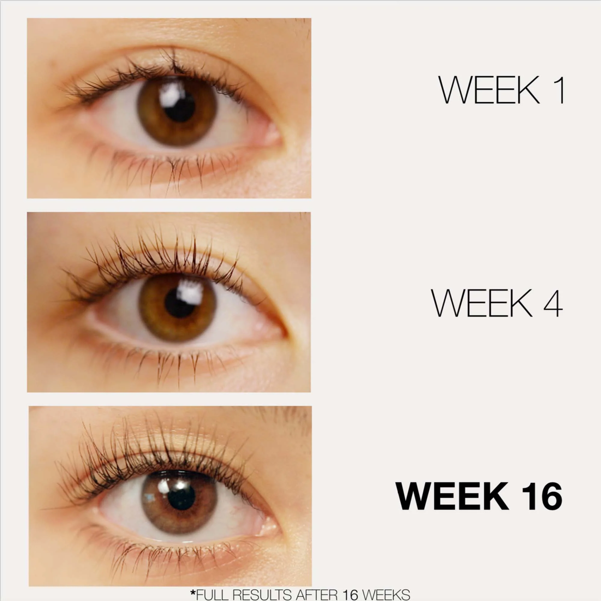 LASHFOOD Phyto-Medic Eyelash Enhancing Serum - Image 2