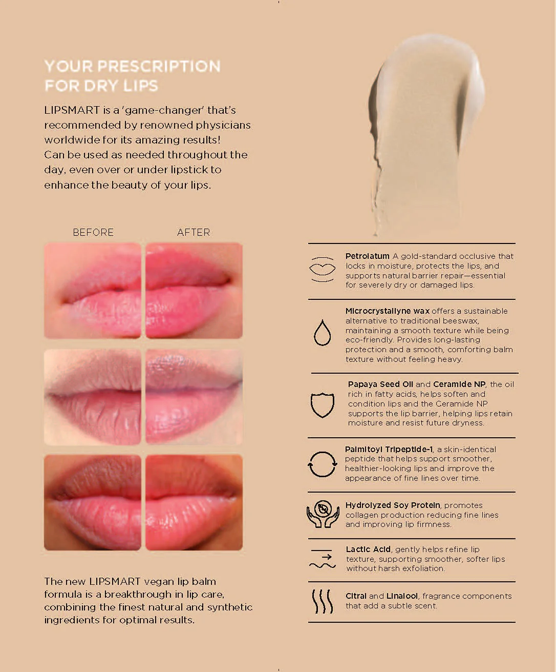 LIPSMART Brochures, 12 ct - Image 2
