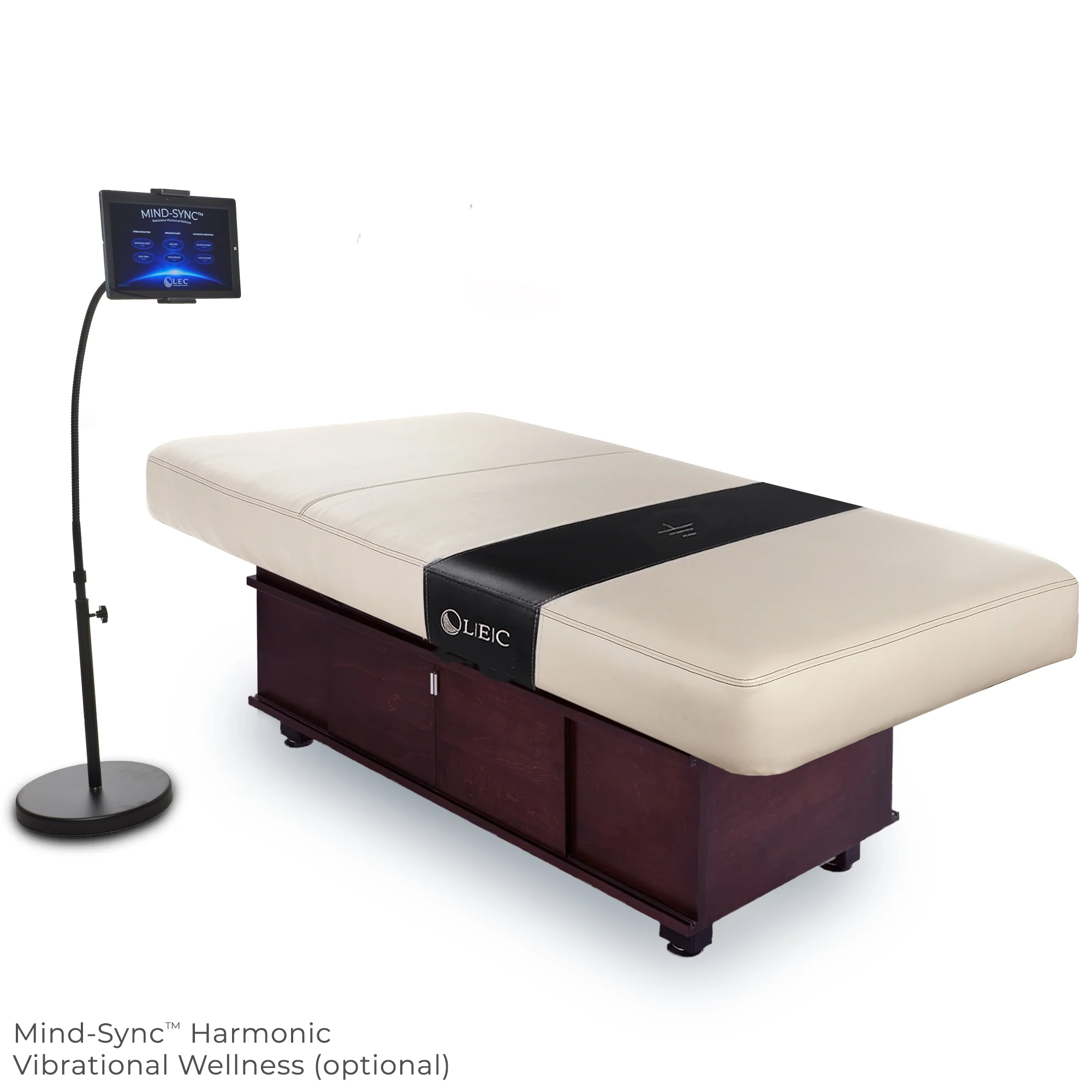 Living Earth Crafts Insignia Classic Multi-Purpose Treatment Table with Replaceable Mattress - Image 6
