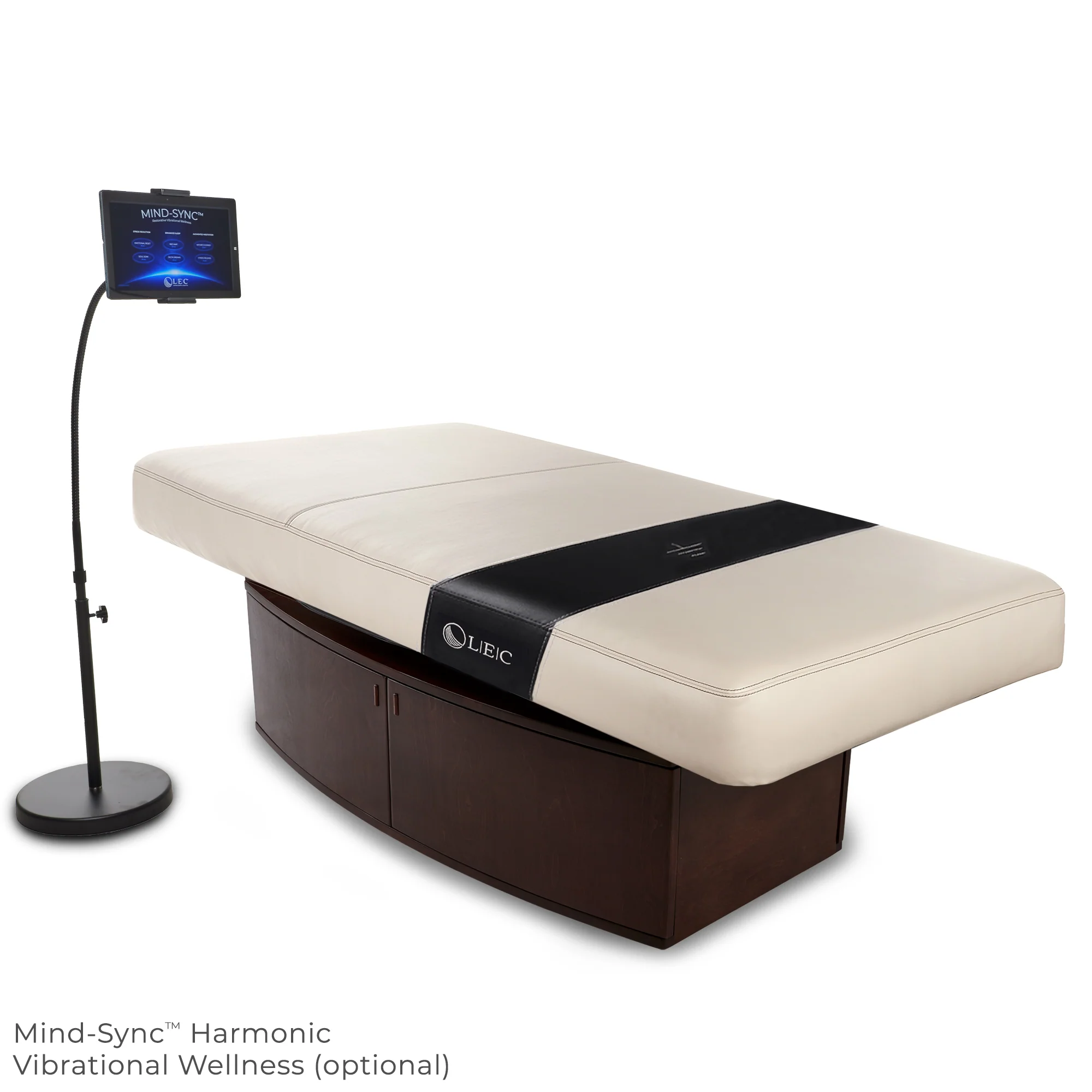 Living Earth Crafts Insignia Horizon Multi-Purpose Treatment Table with Replaceable Mattress - Image 4