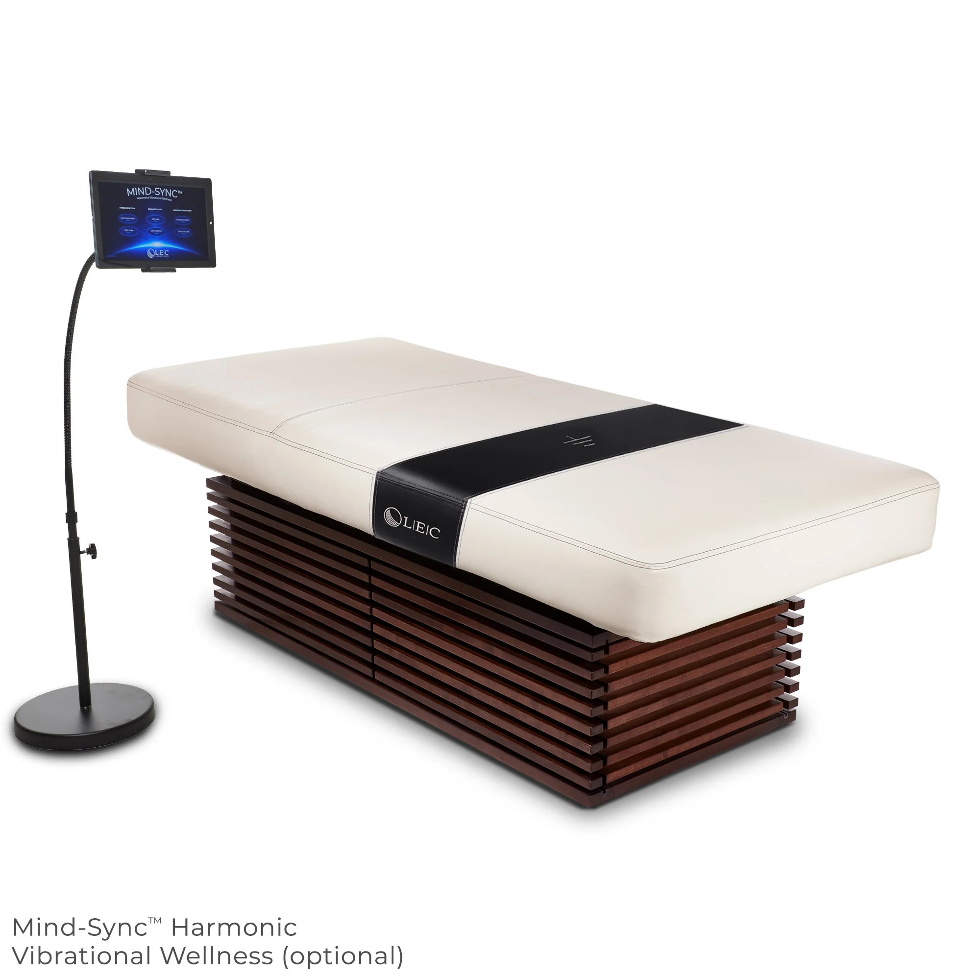 Living Earth Crafts Insignia Modern Multi-Purpose Treatment Table with Replaceable Mattress - Image 2