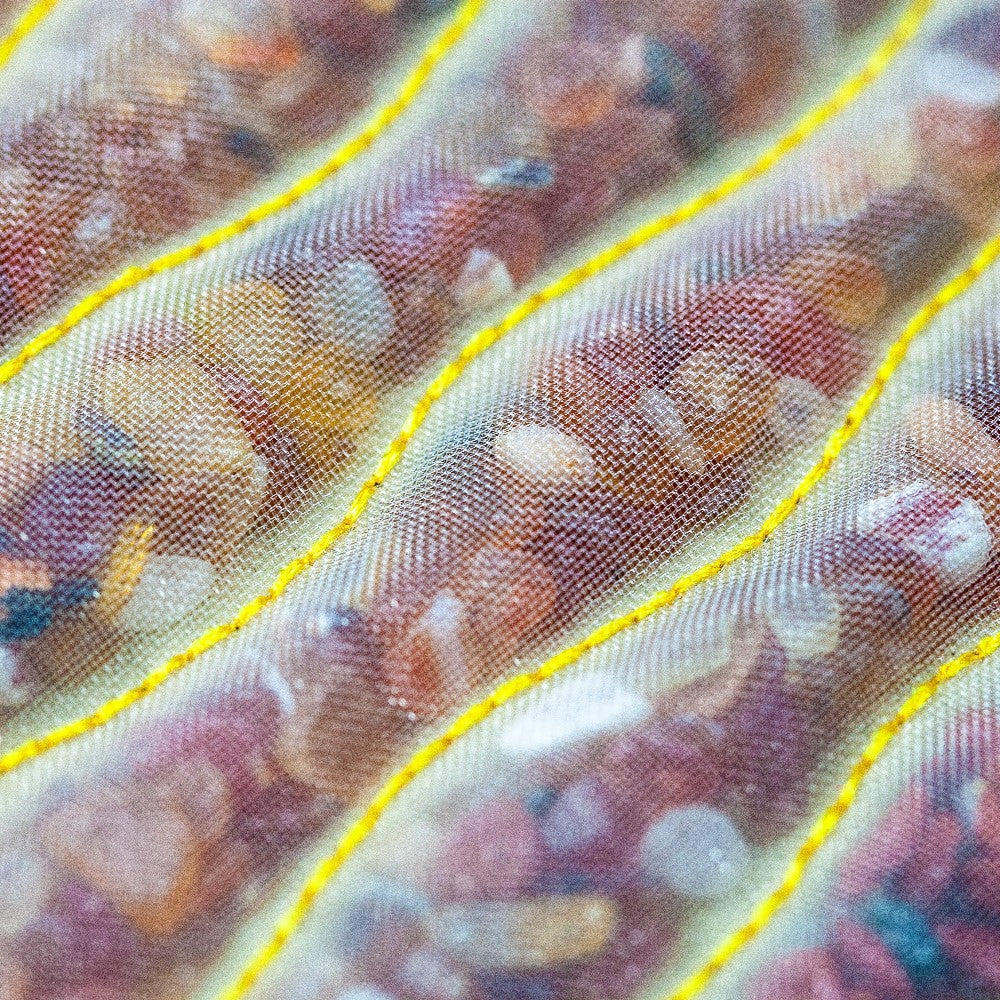 Rainbow Chakra Mat Medium 5024 Firm - Photon PEMF Inframat Pro 3rd Edition - Image 13