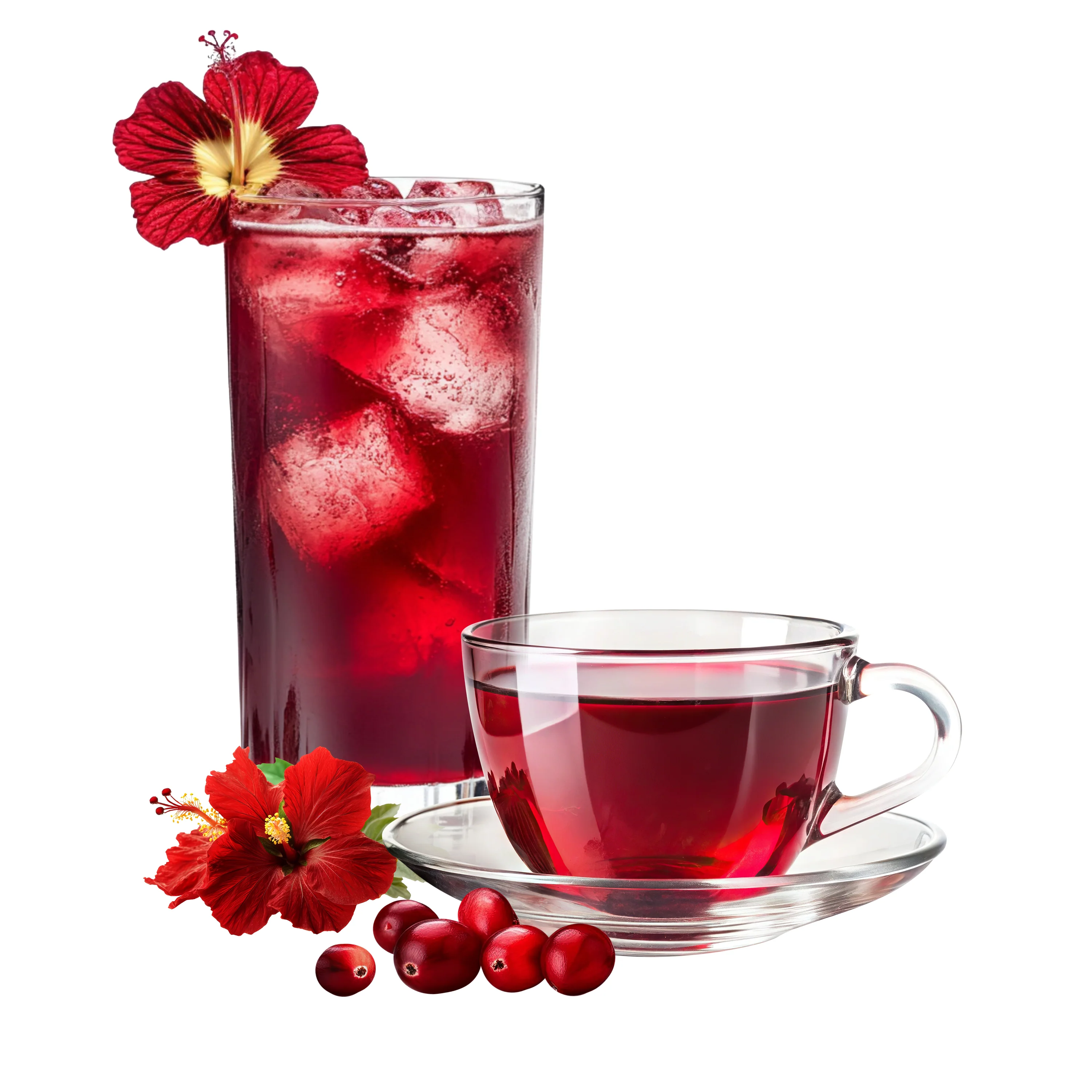 Spa Moments, Organic Herbal Tea, Cranberry Hibiscus, 100 ct - Image 10
