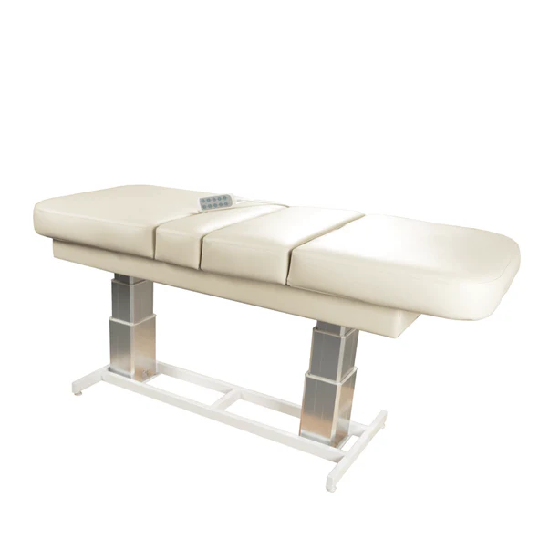 Touch America Atlas Dual-Pedestal Table, ADA Compliant - Image 2