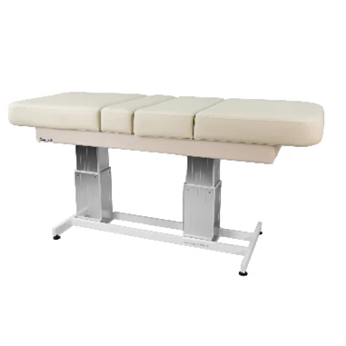 Touch America Atlas Dual-Pedestal Table - Image 4