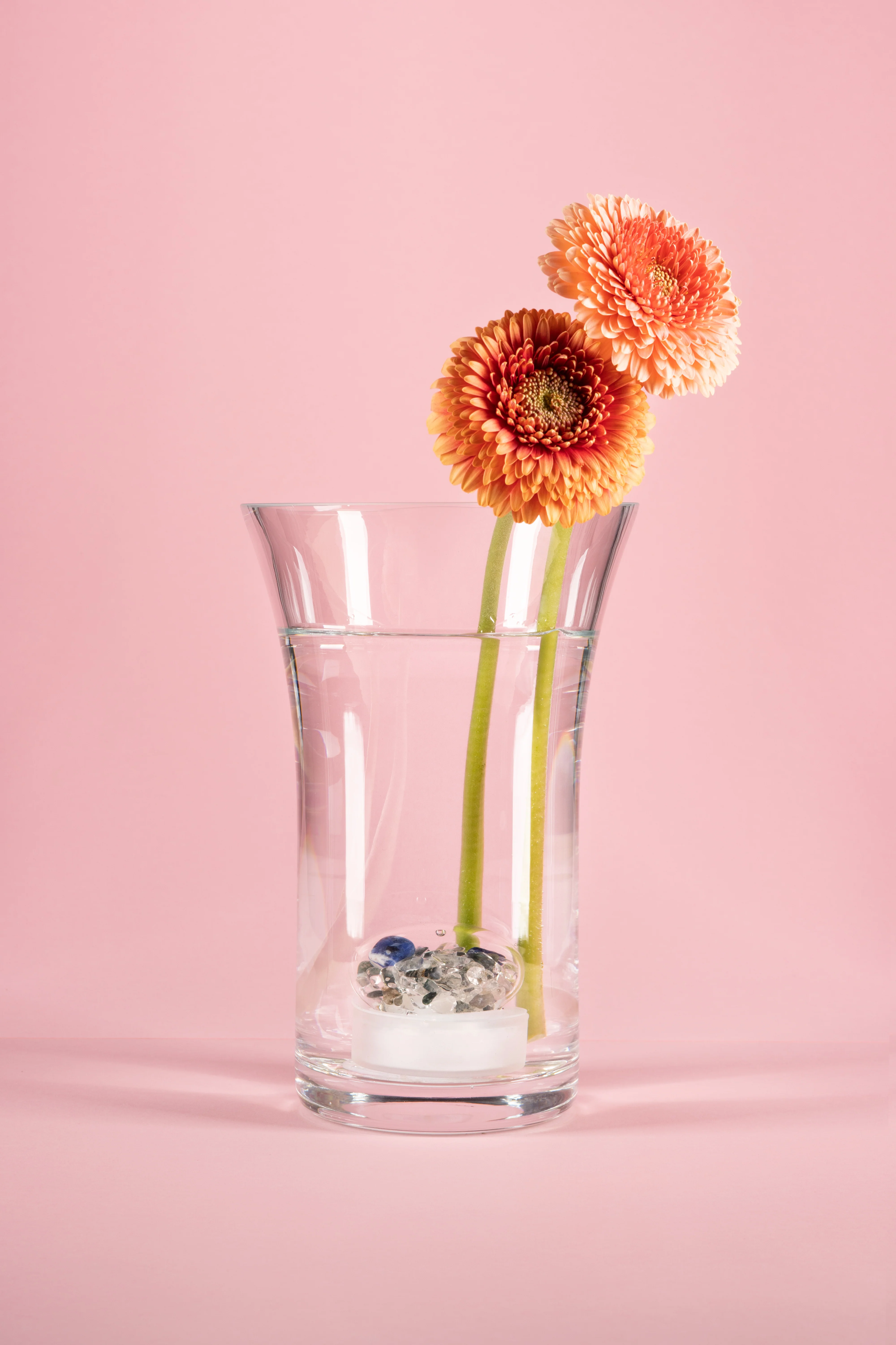 VitaJuwel Crystal Flower Vase, Flora - Image 4