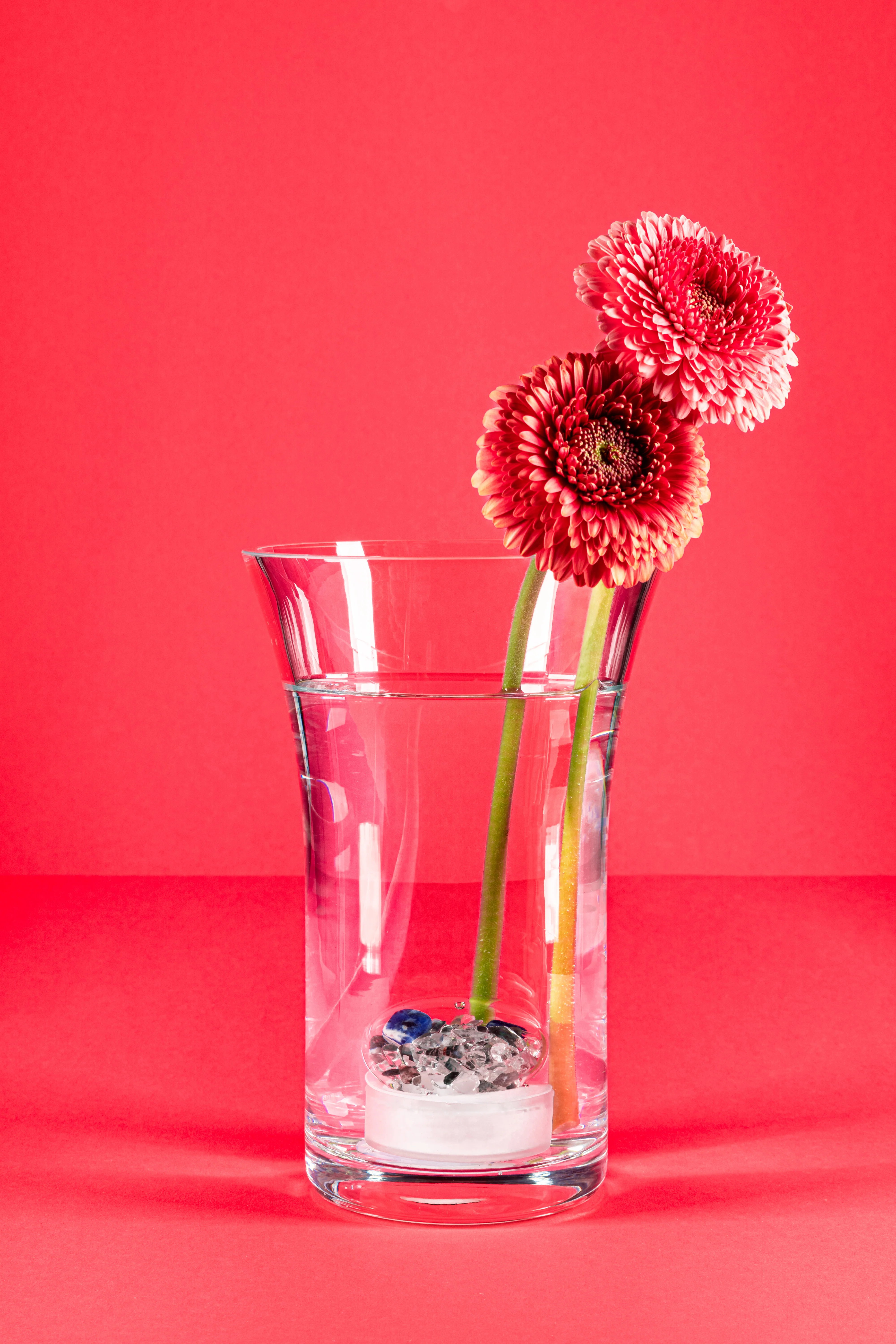 VitaJuwel Crystal Flower Vase, Flora - Image 5